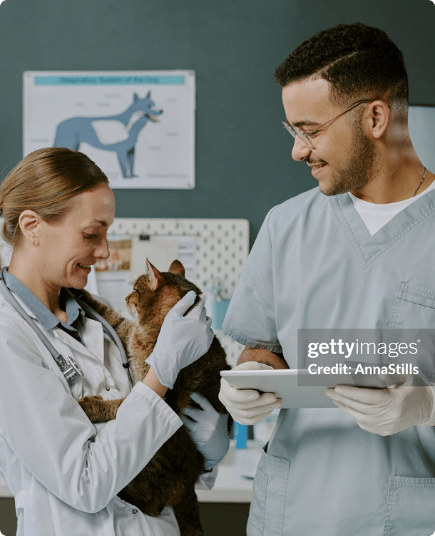 Two veterinarians in scrubs interact with a cat; one holds the cat while the other looks at a tablet. A veterinary anatomy poster is visible in the background.