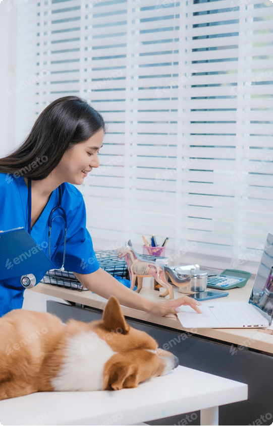 A veterinarian in blue scrubs interacts with a laptop at a desk while a dog lies on the examination table in a brightly lit room.