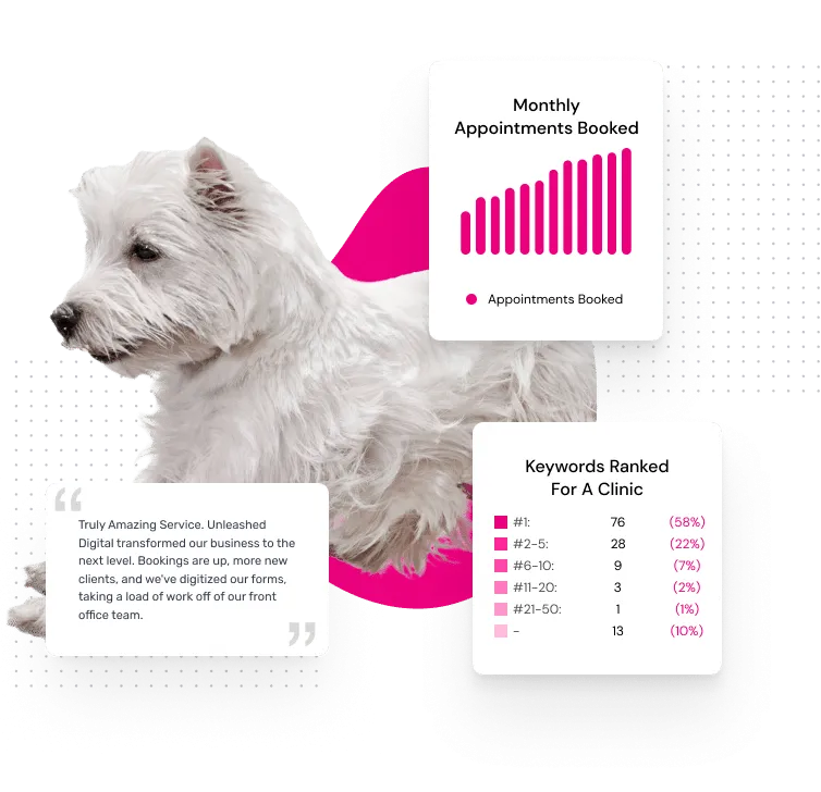 unleashed digital infographic